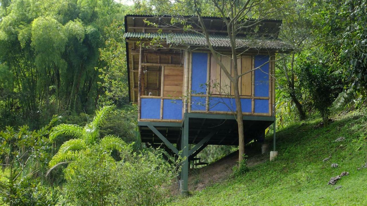 Sonarte Reserva Natural Cordoba  Exterior foto